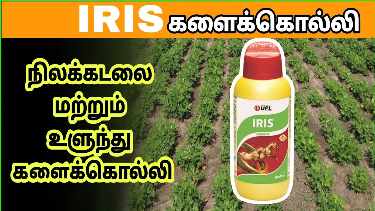 IRIS Herbicide | ஐரிஸ் களைக்கொல்லி UPL IRIS | நிலக்கடலைக்கு சிறந்த களைக்கொல்லி