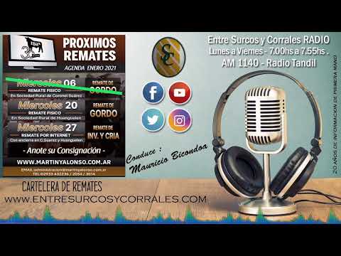 Programa Lunes 18 de Enero de 2021