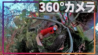 360°動画撮って出し：カンダオ「QooCam FUN」テスト映像