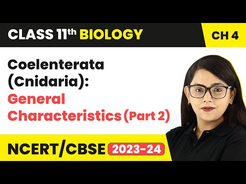 Coelenterata Cnidaria General Characteristics (Part 2)...