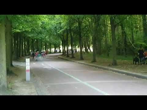 Mas a timoun 29/06/2019