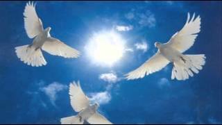 My Choice - Mireille Mathieu: Mille Colombes