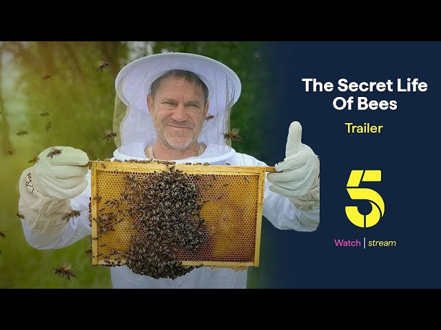 The Secret Life of Bees | Steve Backshall visits King Charles III's bees | Channel 5