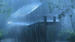 (No Ads) Real Night Rainstorm on Metal Roof ☔ Deep Sleep Music for Stress Relief
