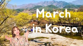Ultimate Guide to &amp;quot;Korea in March&amp;quot; (weather, travel tips, what to do)