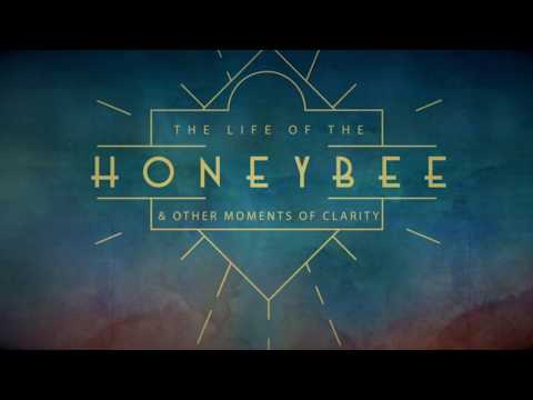 Abel Ganz HoneyBee Promo
