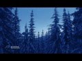 Harmony Found - BERNWARD KOCH(Silent Star ...