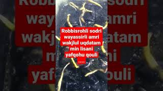 Download lagu Robbisrohli sodri wayassirli amri wakjlul uqdatam min lisani yafqohu qouli -ngajisebentar mp3