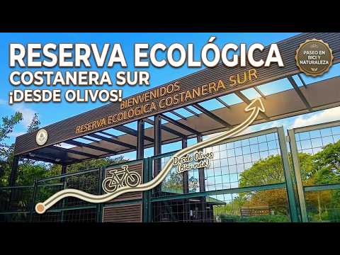 De Olivos a la Reserva Ecológica Costanera Sur | ¿Cómo llegar y qué ver?