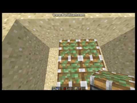 2.  Automatic melon farm