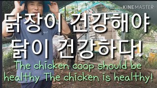 닭장이 건강해야
닭이 건강하다! 닭장소독  The chicken coop should be healthy
T…