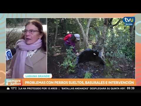 Entrevista Laguna Grande - Humedal Los Batros
