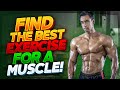 Find The Best Exercise for a Muscle! | Best Muscle Building Exercise!