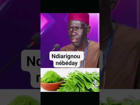 #conseils #senegal #gambia