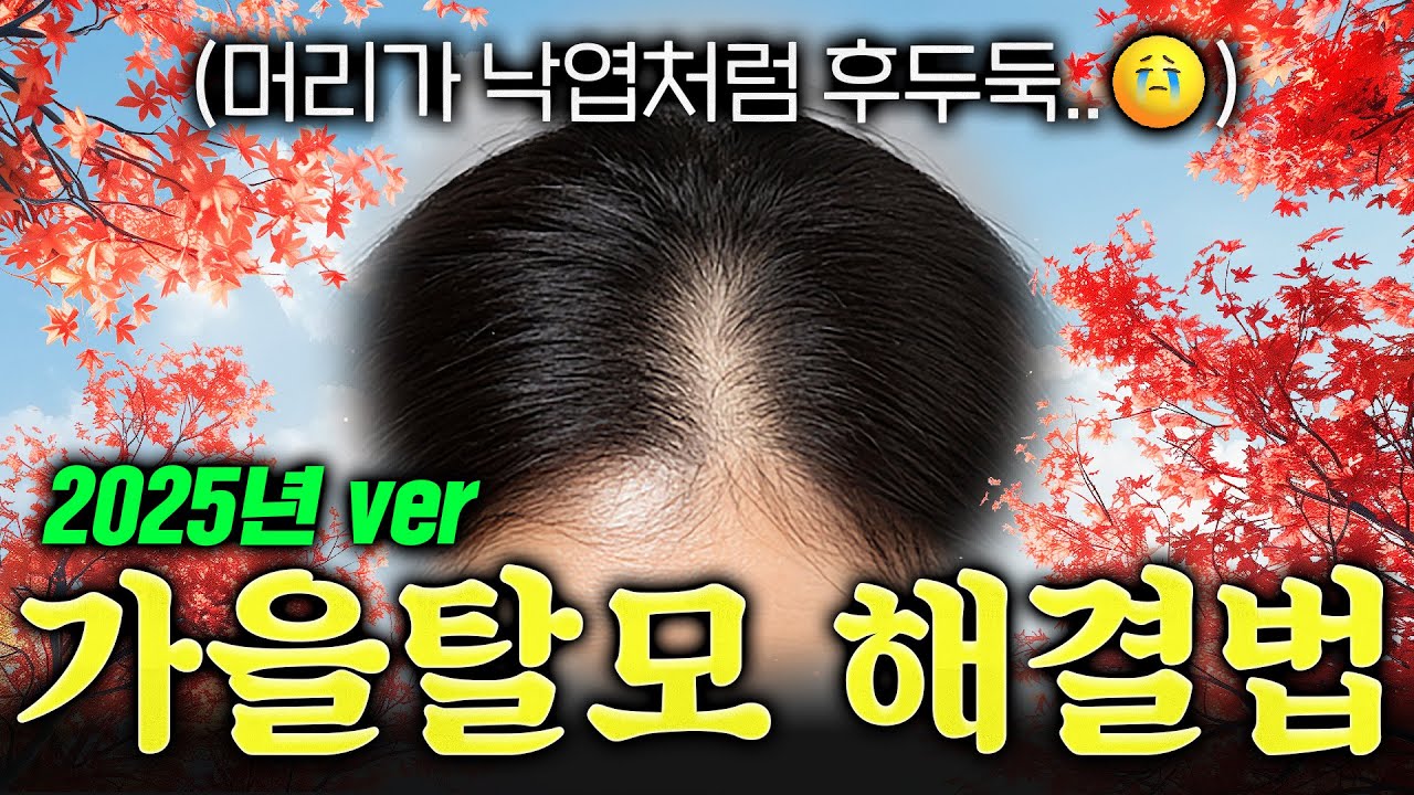 더원츠의원 유튜브