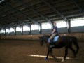 Reitvideo Vom 18 08 2009