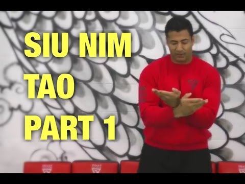 Siu Nim Tao Part 1 - WingTsun/Wing Chun  - Sifu Vik Hothi