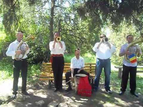 Fanfară (Saveni-Gropniţa)