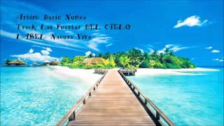 Dario Nunez - Las Puertas Del Cielo (Original Mix) [Natura Viva]
