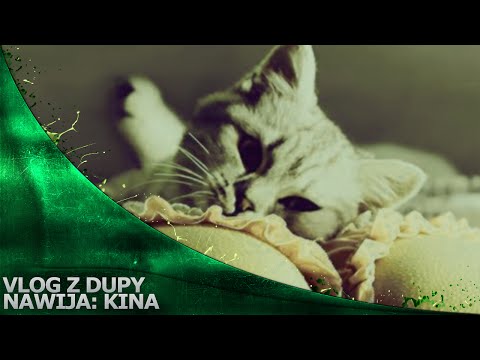 Vlog z Dupy - Specjalne zdolności