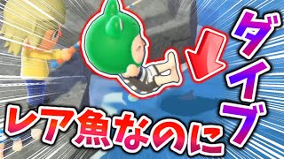 レア魚を釣ろうとしたらやられました…【あつまれどうぶつの森】【あつ森】【どう森】【どうぶつの森】