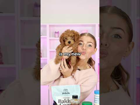 Revealing My Puppy’s NAME! 🐶