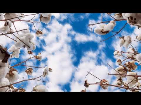 Vasile Spătărelu (1938-2005): "Către…" (~2000)