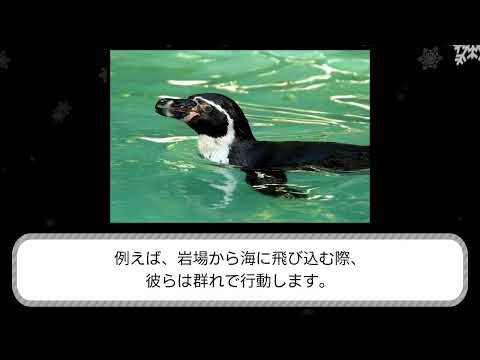 フォルステリ属の猛禽類