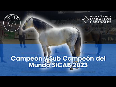 , title : 'Los 6 Mejores Caballos de Pura Raza Española del Mundo en 2023'
