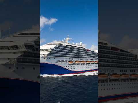 Carnival Corp. navega con éxito las aguas de la industria crucerista