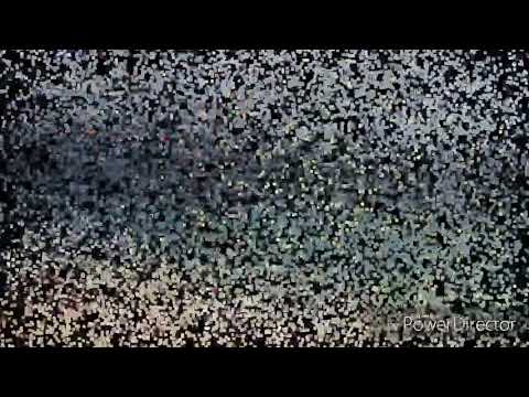 El inglés idioma del futuro