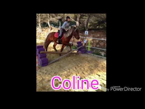 Nos souvenirs 2016/2017