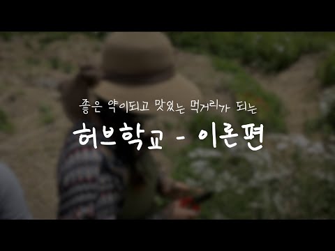 , title : '[허브학교-이론] 여름은 허브의 계절 (feat. 소란선생님)'