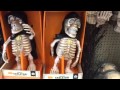 Skeleton Singing Dancing I M Sexy And I Know It Parody I M Scary And I Know It Toy Video