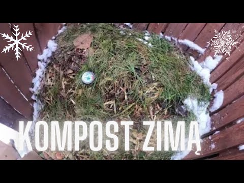 Czy warto zakładać kompostownik zimą? #shorts