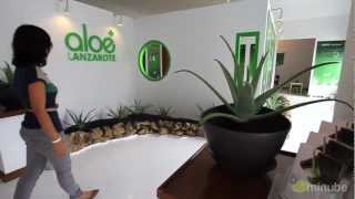 preview picture of video 'Museo Aloe Plus Lanzarote'