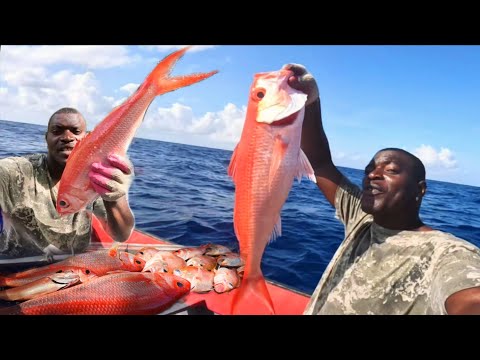 Offshore Solo Survival deep water Queen snapper fishing in strong current