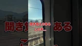 しなの鉄道の車内放送が！！（ #鉄道  #shorts ）