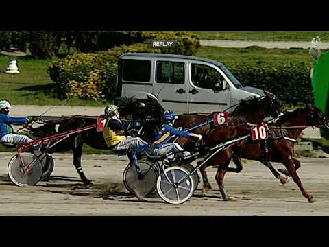 Aversa trotto 20 Febbraio 2021 - 2° Corsa