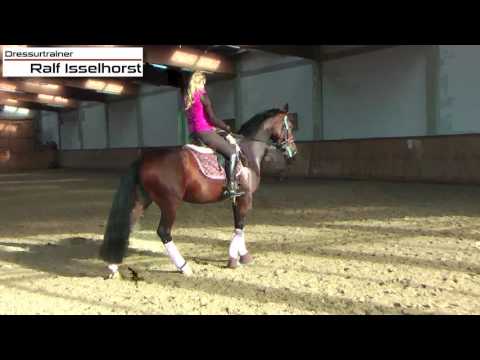 www.dressurtrainer-isselhorst.de - Korrekte halbe und ganze Paraden