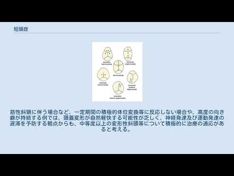 短頭症について詳しく解説