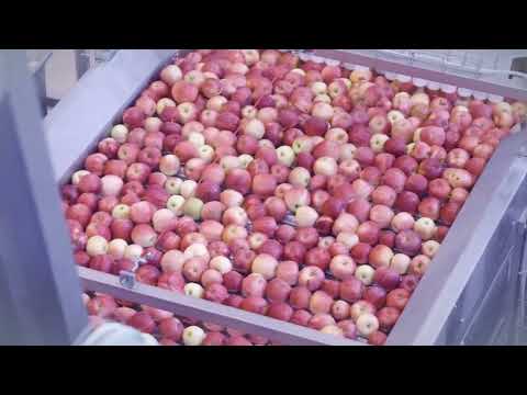 CFT Group - Technology Mix