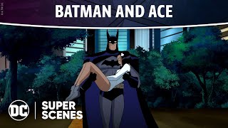 Batman waits with Ace video thumbnail