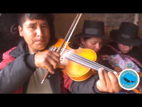 Música sentimental con Arpa y Violin por Cochani  Parinacochas  Ayacucho 2026