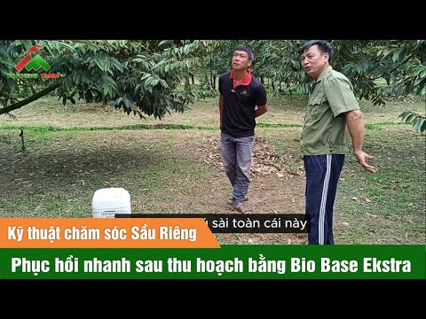 Phục hồi nhanh sau thu hoạch bằng Bio Base Ekstra (24025)