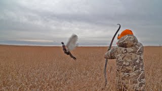 Pheasant Hunt with Traditional Bow | 16 SLOW-MO SHOTS & THE GREATEST MISSES in Bowhunting (ONE HIT)
