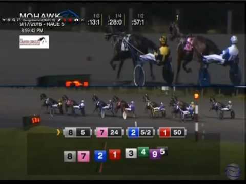2 final se soir WILLIAM WELLWOOD MEMORIAL   FINAL   2 YEAR OLD COLTS & GELDINGS
