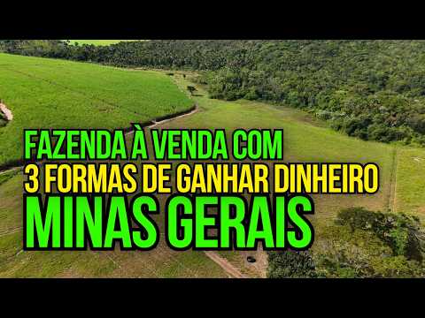 FAZENDA DE 60 HECTARES EM MINAS GERAIS | A MELHOR OPORTUNIDADE DO TRIÂNGULO MINEIRO