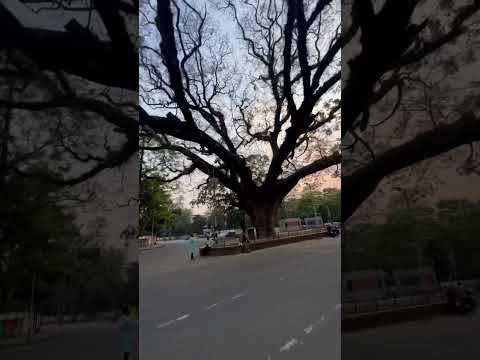 Gopone tomare sakha kato valobashe ❤️ #lyricvideo #statusvideo #music #nature #coversong #spiritual