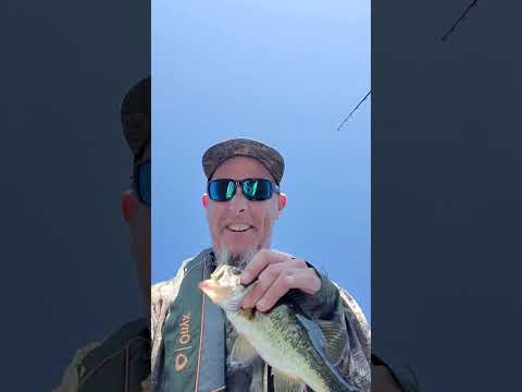 Supa bowl Sunday recap..Bro Jonn beat me out by day's end 12-13 #lakebass #bass #bassfishingismylife